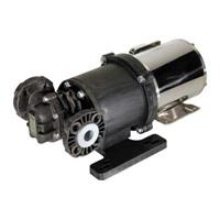 ECLIPSE® 25 Non-Metallic External Gear Pump